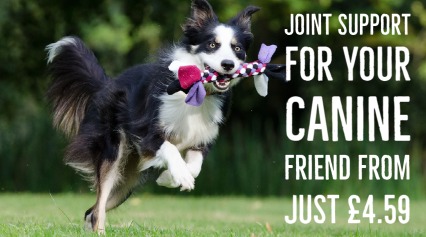 Canine joint supplements from just £4.59